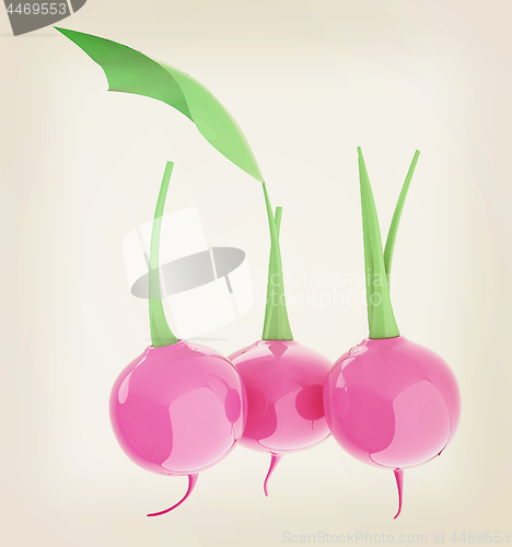 Image of Small garden radish isolated on white background. 3d illustratio