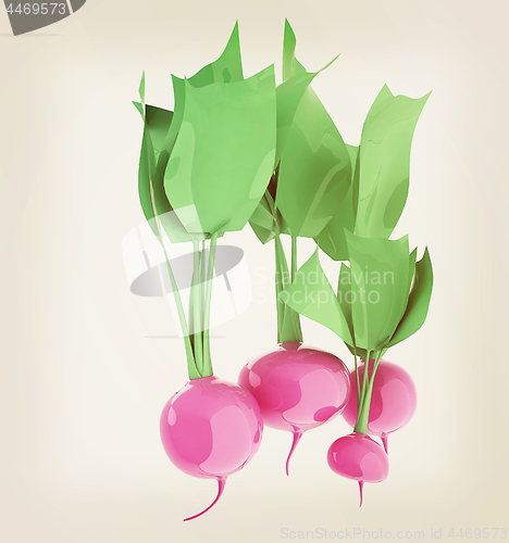 Image of Small garden radish isolated on white background. 3d illustratio