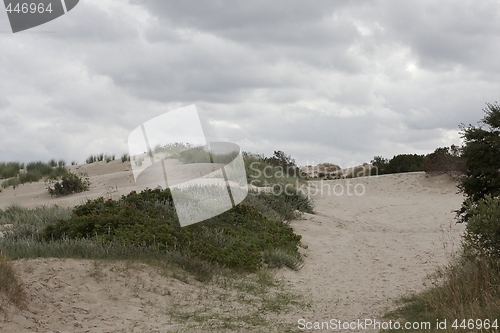 Image of Sandy desert. 