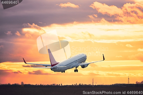 Image of Take off at the sunset