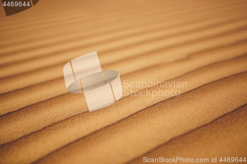 Image of Close-up view of sand dunes