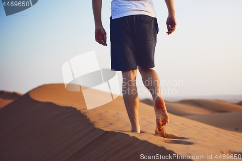 Image of Walk in desert