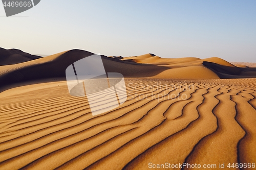 Image of Sand dunes in desert landscape