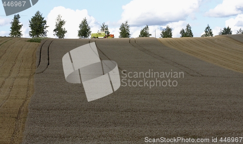 Image of Harvesting. 