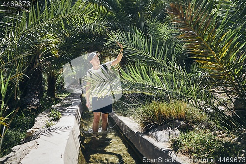 Image of Tourist walking in water between palm trees 