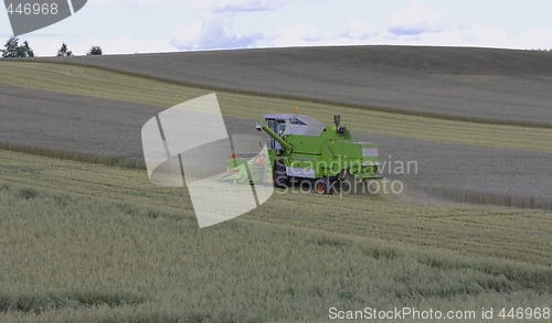 Image of Harvesting. 