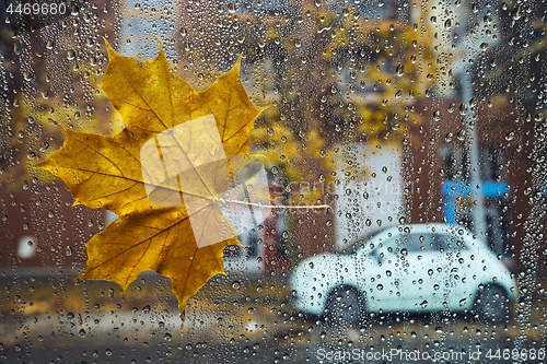 Image of Autumn in the city