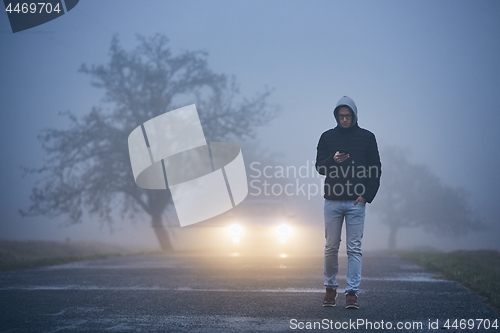 Image of Thick fog on roadside