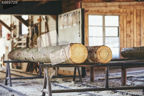 Image of Timber at the sawmill