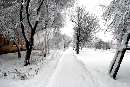 Image of path covered with snow