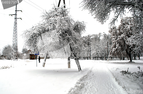 Image of trees and pillars covered with snow