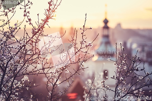 Image of Spring sunrise in Prague