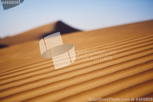Image of Close-up view of sand dunes