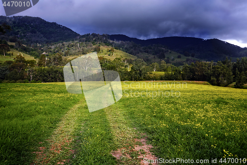 Image of Hunter Valley fields