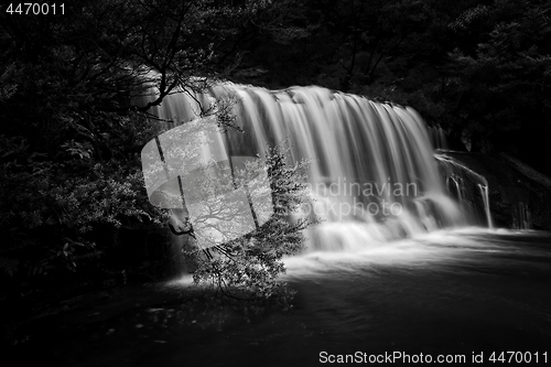 Image of Queens Cascade Waterfall Blue Mountains