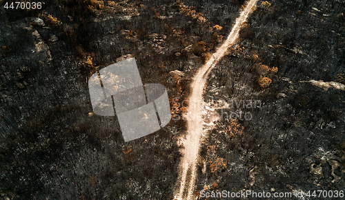 Image of Charred earth blackened by fire