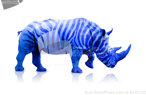 Image of Blue rhino with zebra lines