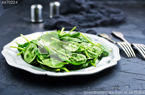 Image of spinach