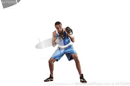 Image of Sporty man during boxing exercise making hit. Photo of boxer on white background