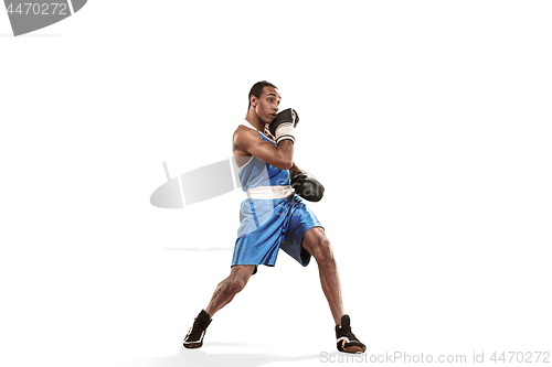 Image of Sporty man during boxing exercise making hit. Photo of boxer on white background