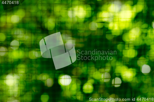 Image of Green vegetative background through a metal lattice. Blur.