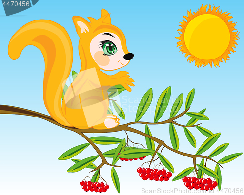 Image of Animal squirrel on branch of rowanberry.Vector illustration