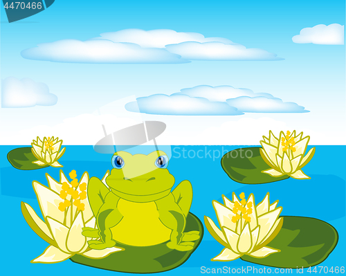 Image of Frog sits on water lily in pond