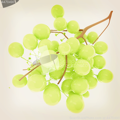 Image of Healthy fruits Green wine grapes isolated white background. Bunc