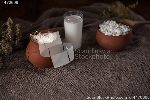 Image of Organic milk cottage cheese and cream