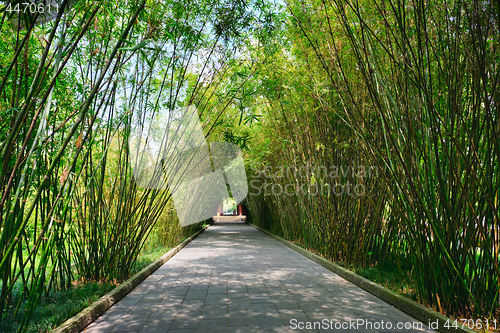 Image of Wangjianglou park. Chengdu, Sichuan, China