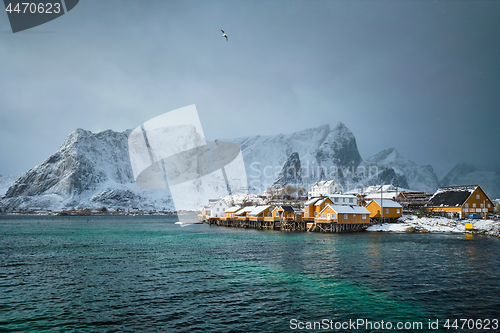 Image of Yellow rorbu houses, Lofoten islands, Norway