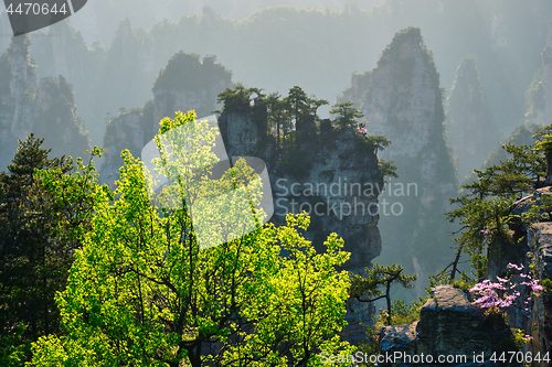 Image of Zhangjiajie mountains, China