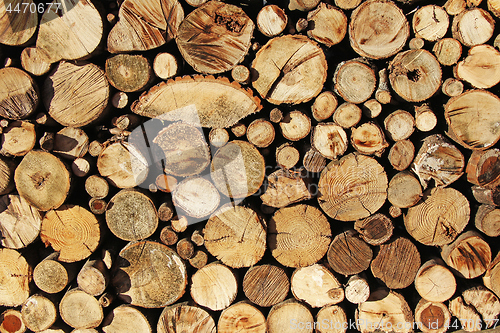 Image of Stacked Logs, cut trees as background