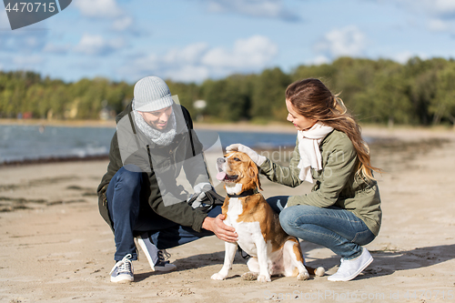 Image of happy couple with beagle dog on autumn beach