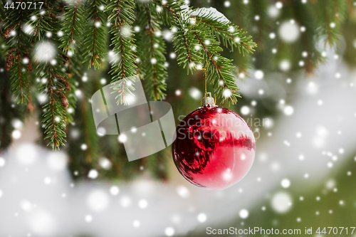 Image of red christmas ball on fir tree branch with snow