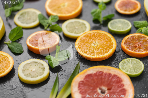 Image of close up of grapefruit, orange, pomelo and lime