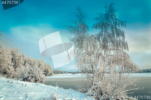 Image of Winter landscape with trees, covered with hoarfrost and lake vie