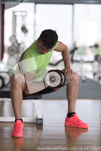 Image of handsome man working out with dumbbells