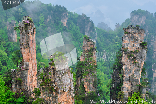 Image of Zhangjiajie mountains, China