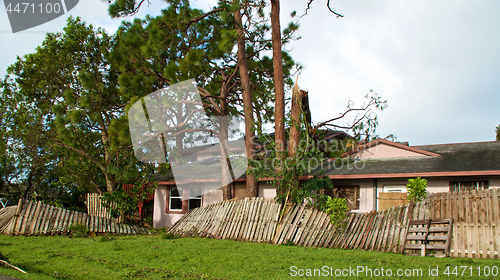 Image of broken trees and fence after hurricane irma