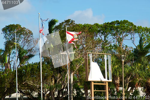 Image of remains of Florida and US flags after hurricane 