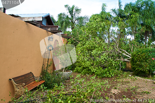 Image of Tree felled on house by hurricane irma