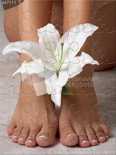 Image of lily puzzle