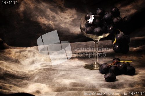 Image of a bunch of black grapes filling wineglass  on gray studio backdr