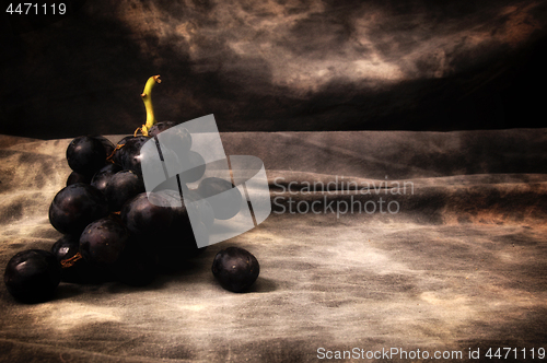 Image of black seedless grapes on gray studio backdrop