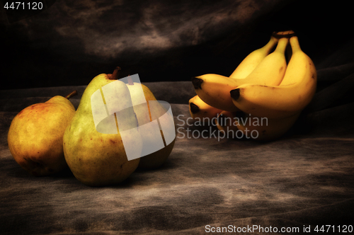 Image of bosc pears and yellow bananas on gray studio backdrop