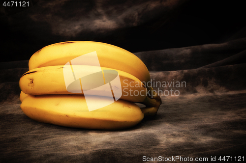 Image of bunch of ripe yellow bananas on gray studio backdrop