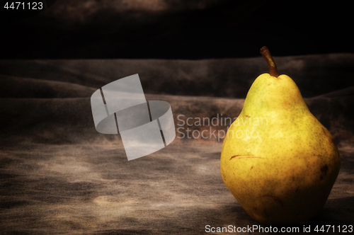 Image of one ripe bosc pear on gray studio backdrop