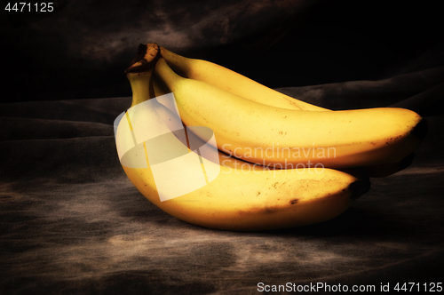 Image of ripe banana bunch on gray studio backdrop