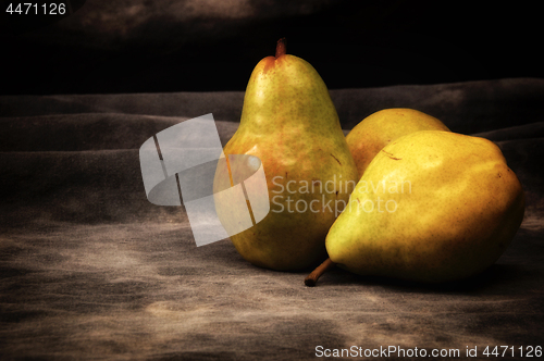 Image of three bosc pears on gray studio backdrop